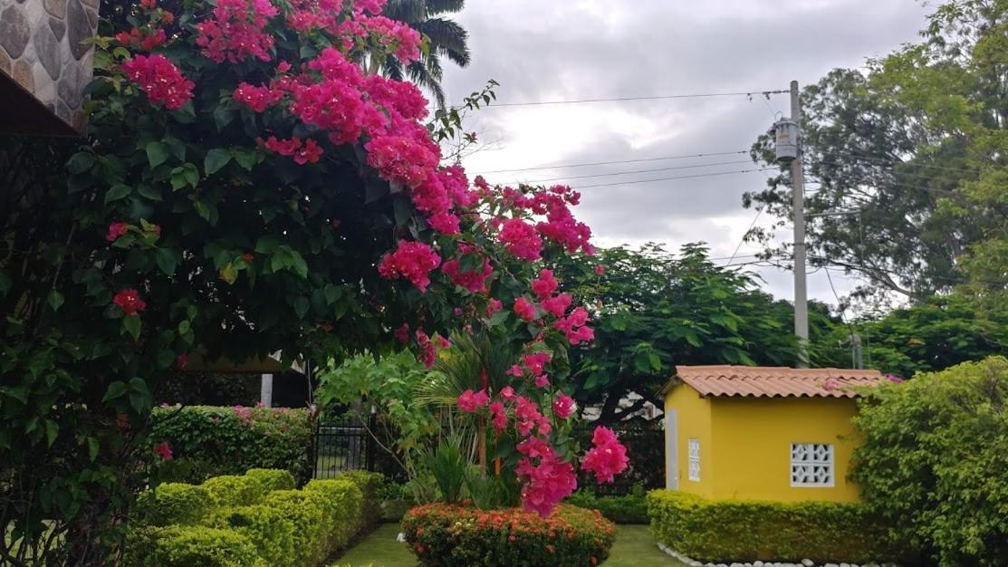 Casa De Los Suenos B&B Coronado Panama Playa Coronado Dış mekan fotoğraf