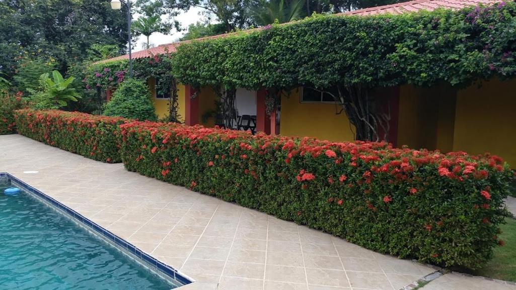 Casa De Los Suenos B&B Coronado Panama Playa Coronado Dış mekan fotoğraf