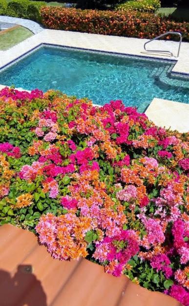 Casa De Los Suenos B&B Coronado Panama Playa Coronado Dış mekan fotoğraf